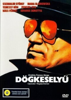 Кондор онлайн безкоштовно
