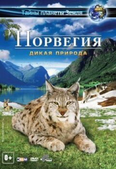 Норвегія 3D: Дика природа онлайн безкоштовно