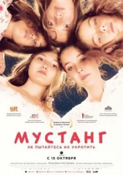 Мустанг онлайн безкоштовно
