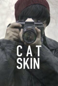 Шкіра кота
