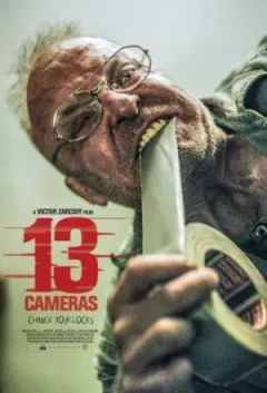 13 камер онлайн безкоштовно
