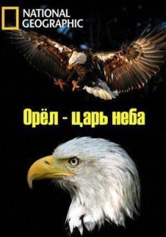 Орел - цар неба